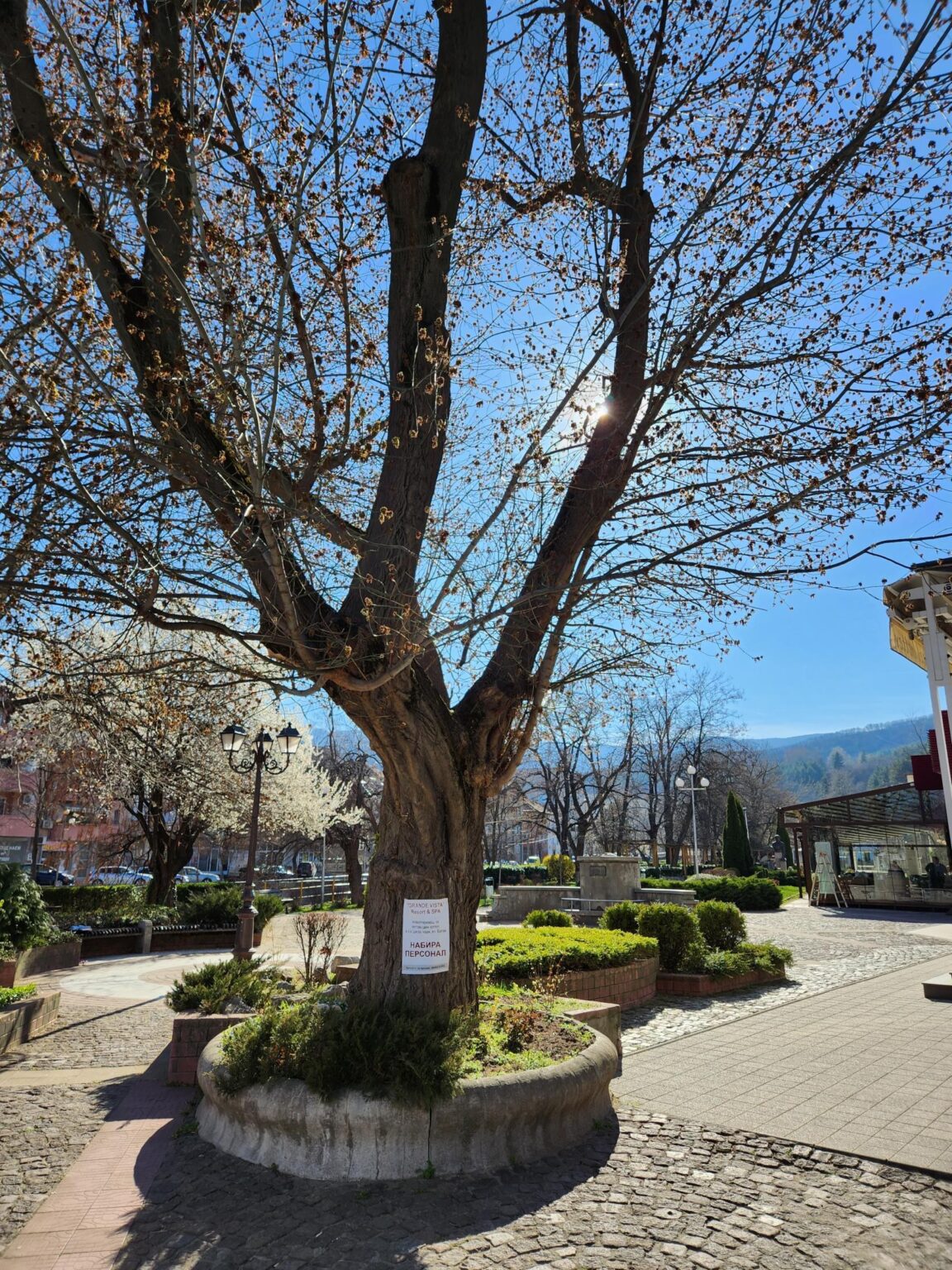 The centre, park and streets of the town of Peshtera, Bulgaria - photo 6