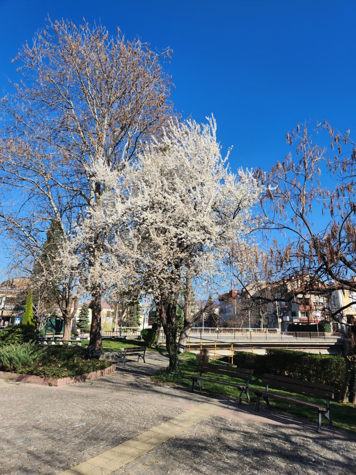 The centre, park and streets of the town of Peshtera, Bulgaria - photo 16