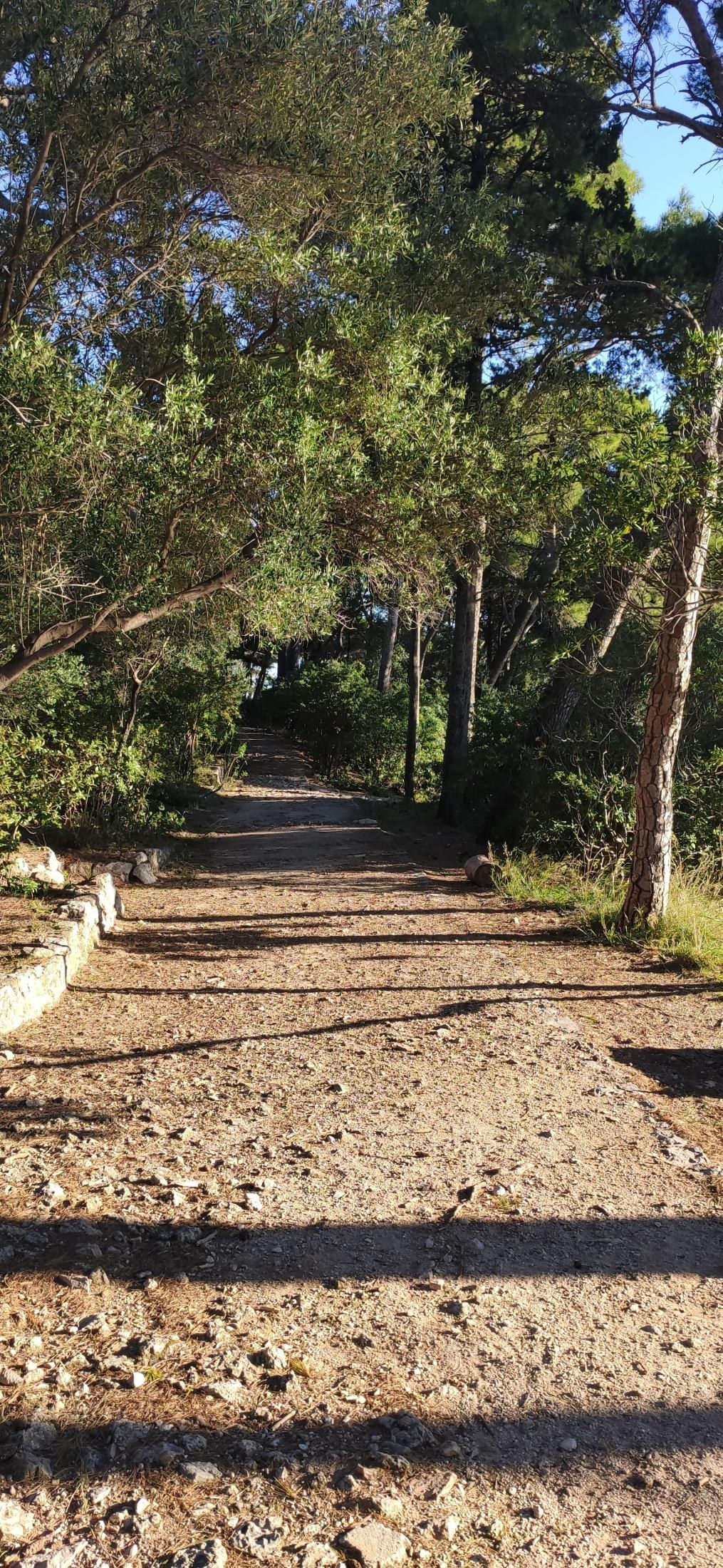 Gradac Park and the Dubrovnik viewpoint — 5