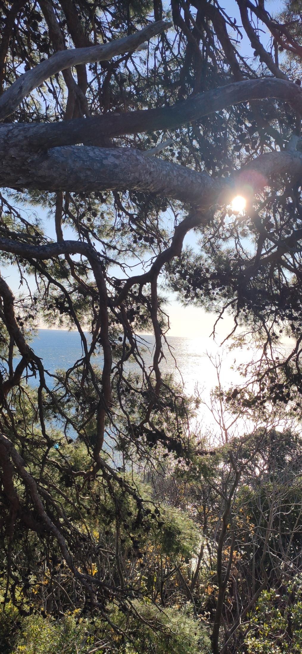 Gradac Park and the Dubrovnik viewpoint — 9