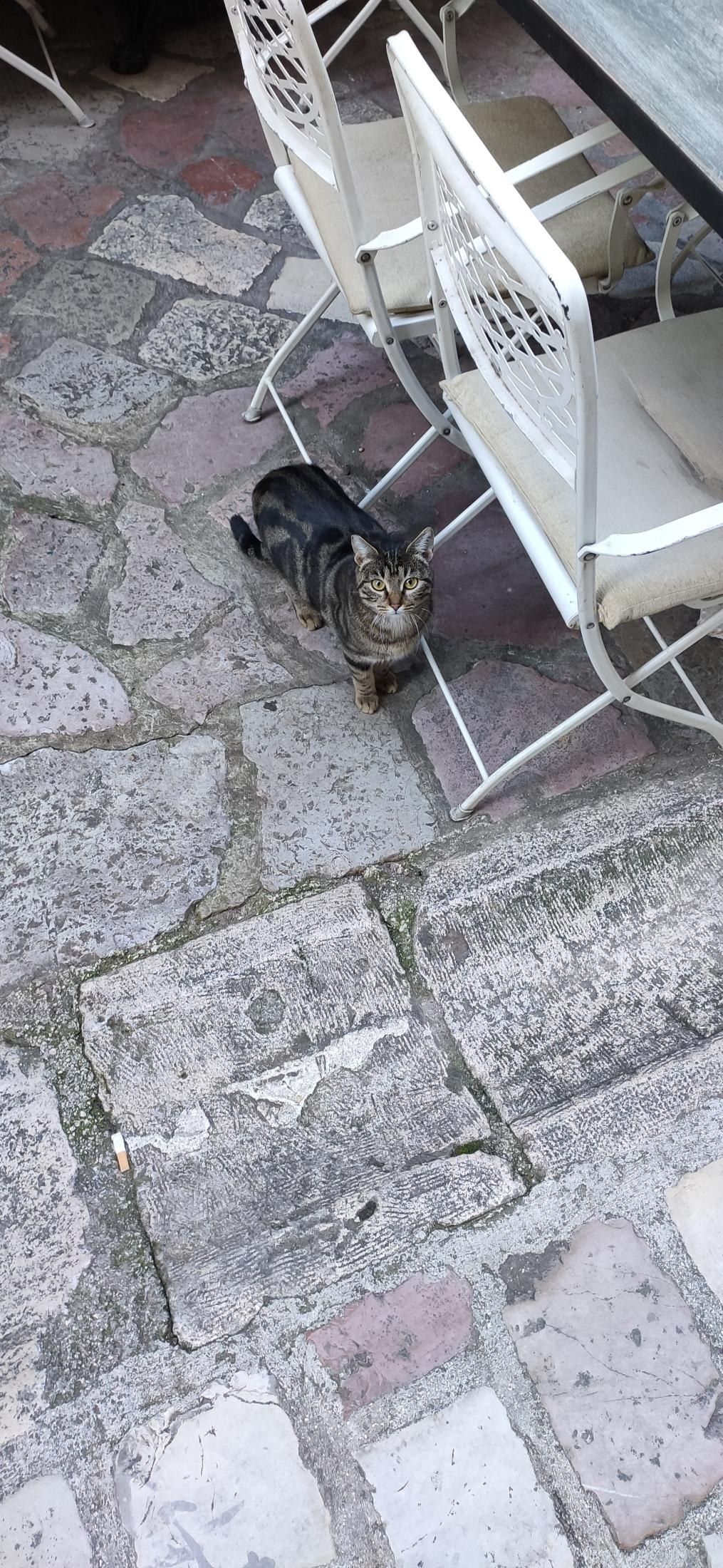 Kotor Old Town, Montenegro — 28