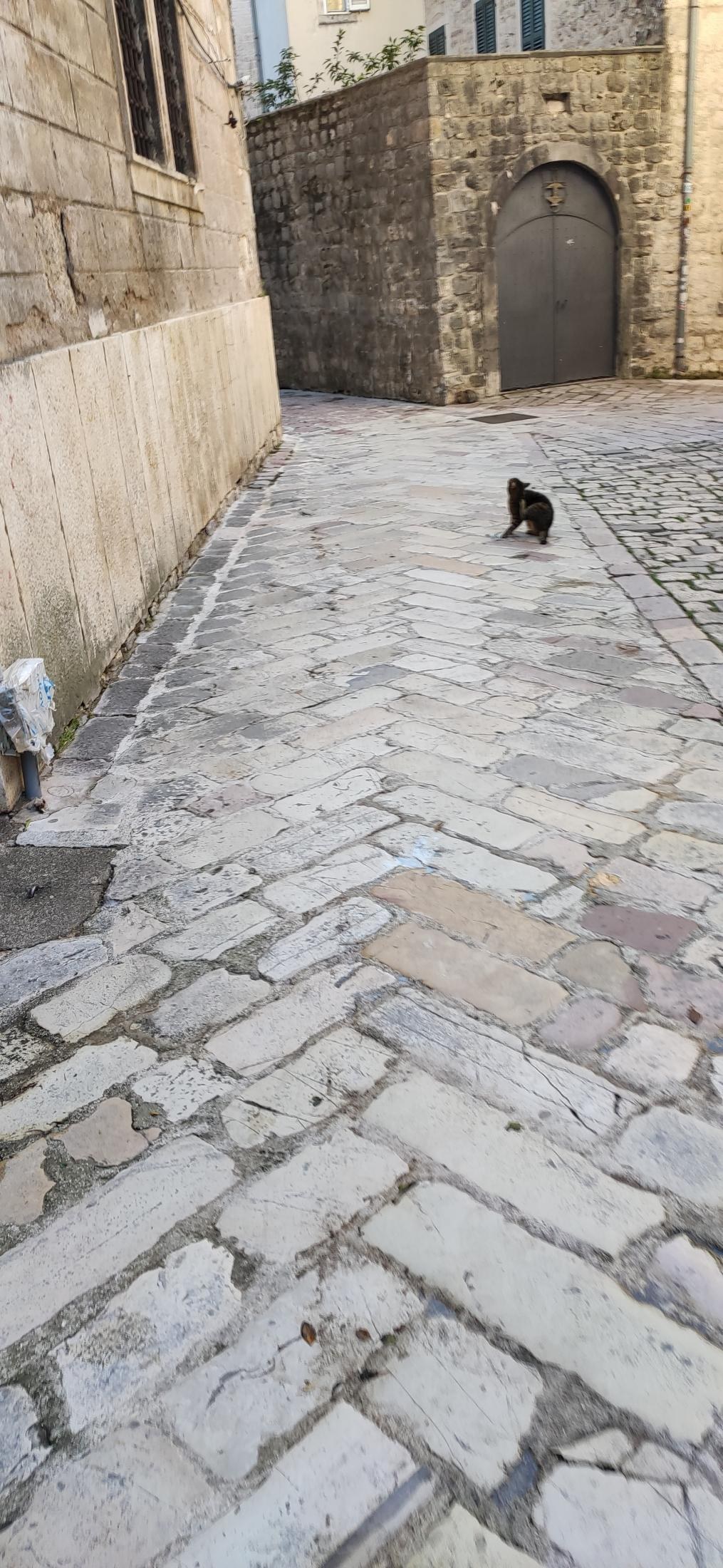 Kotor Old Town, Montenegro — 31