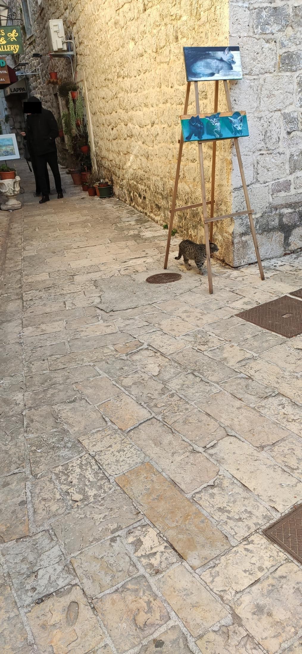New Year's Day around Budva, Montenegro — 20