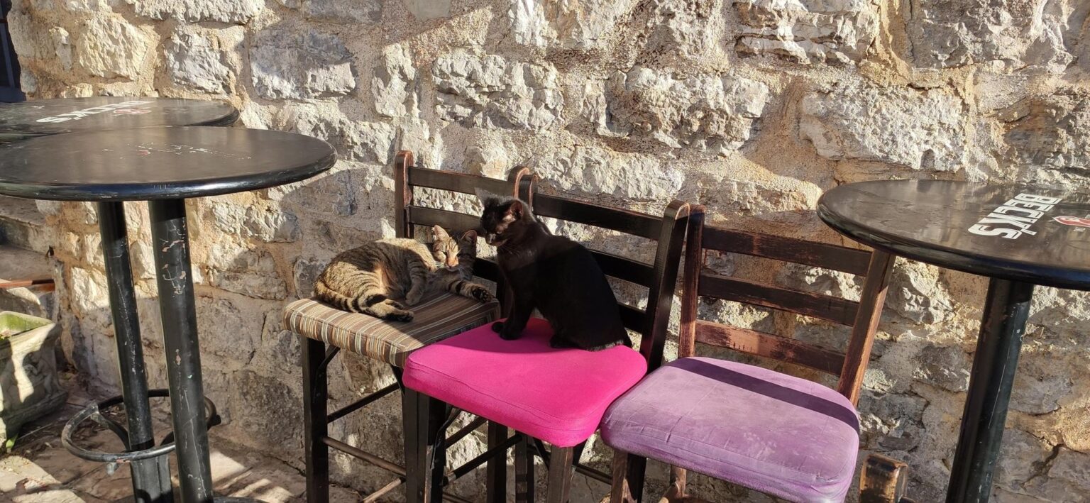 New Year's Day around Budva, Montenegro — 22