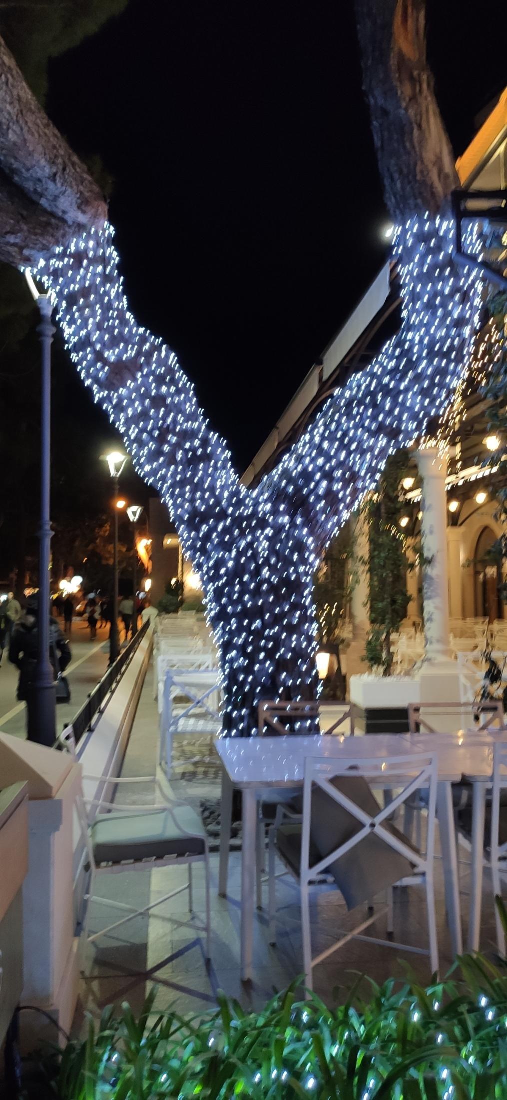 New Year's Day around Budva, Montenegro — 42