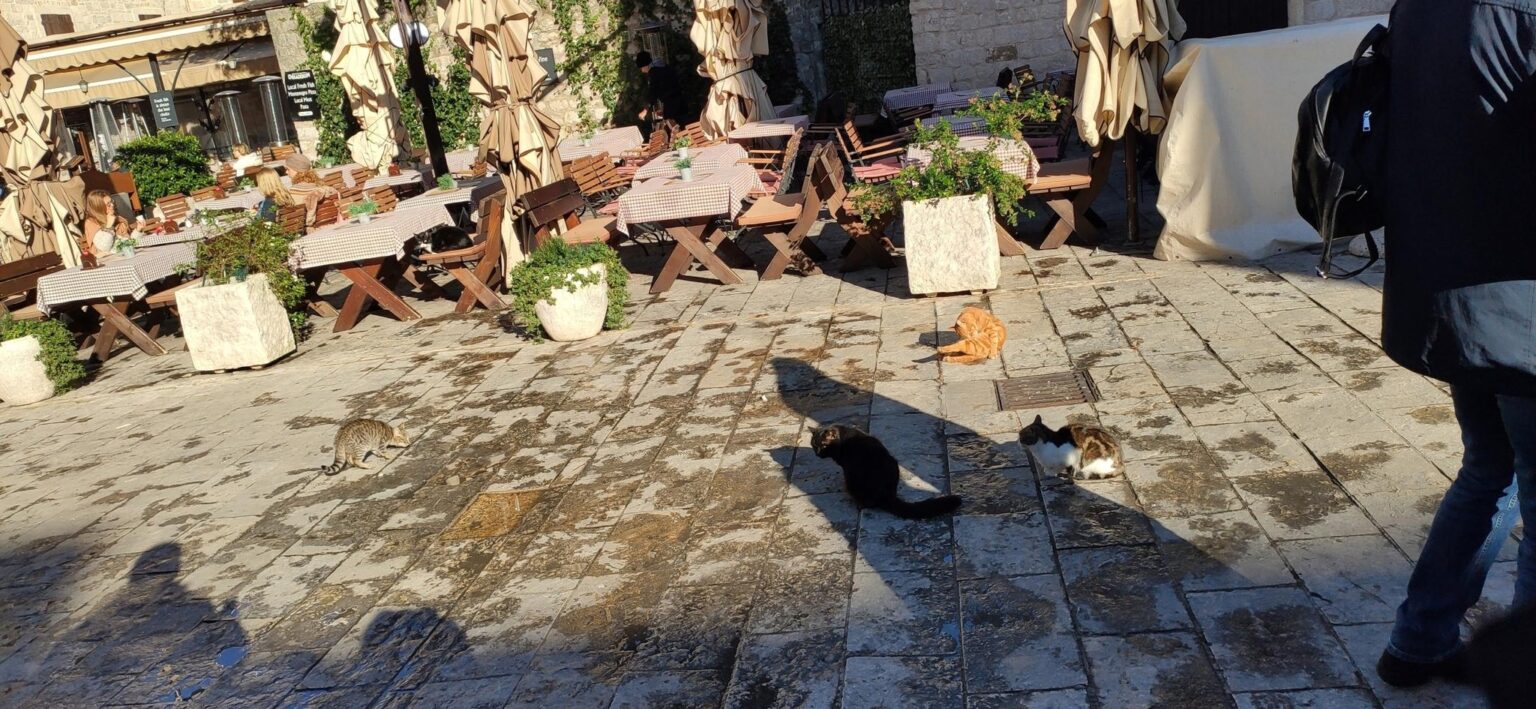 Montenegro and Croatia trip gallery — 124