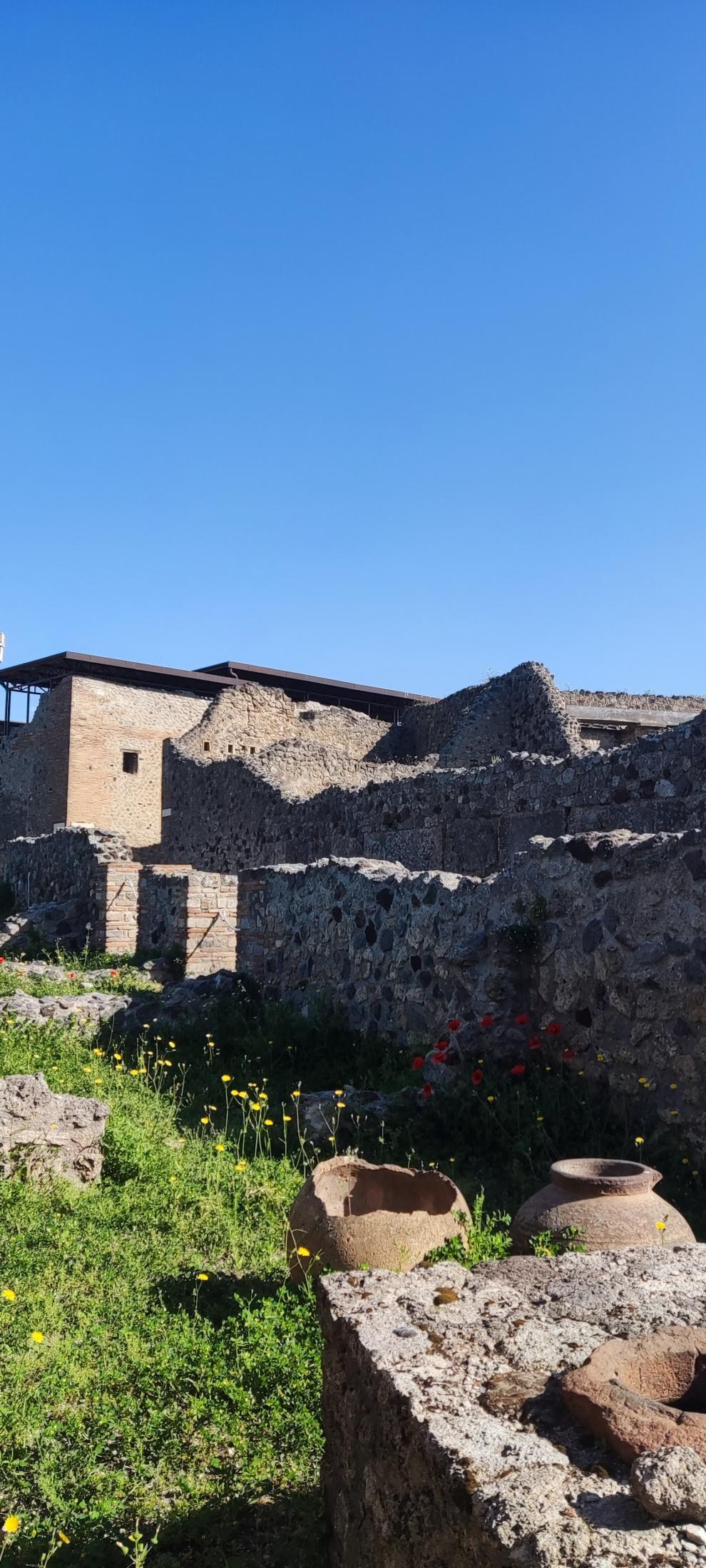 An Imperfect Italy, or How "See Naples and Die" Turned Out to Be a Mistranslation