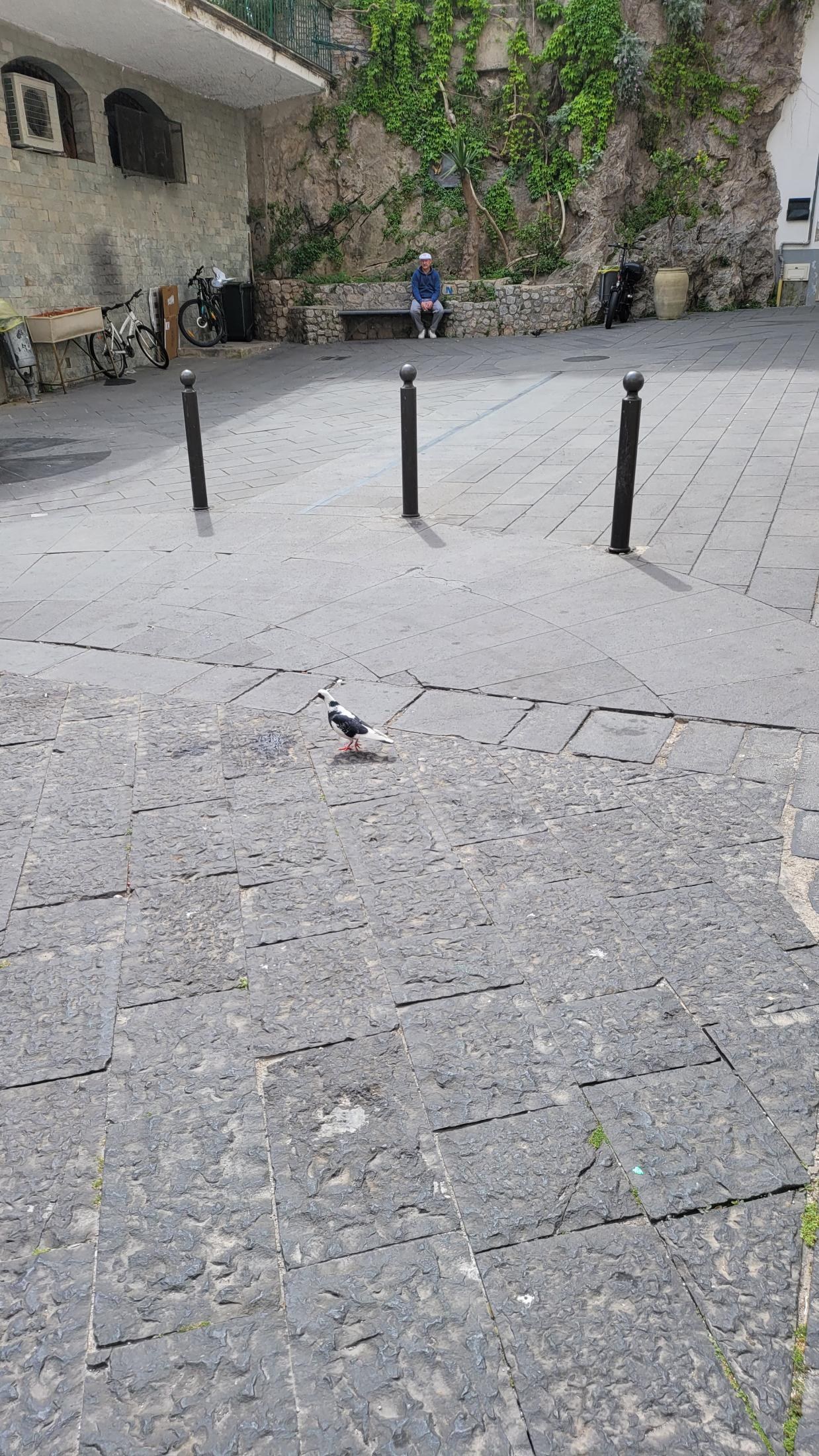 An Imperfect Italy, or How "See Naples and Die" Turned Out to Be a Mistranslation
