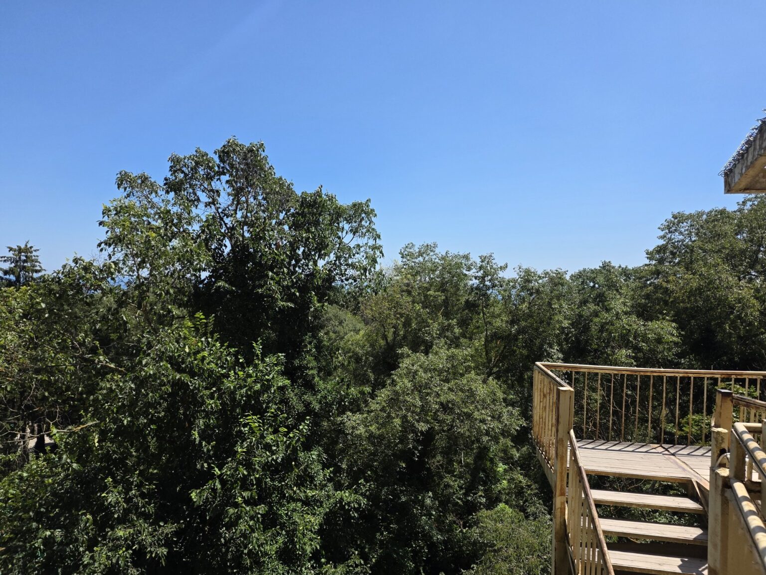 Wooden terrace overlooking the forest of aladja monastery