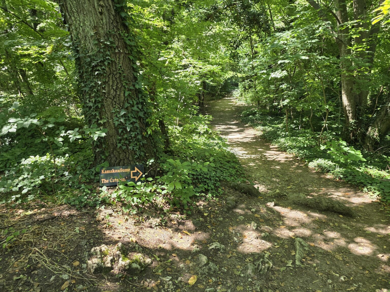 Forest path with a small signpost among the trees