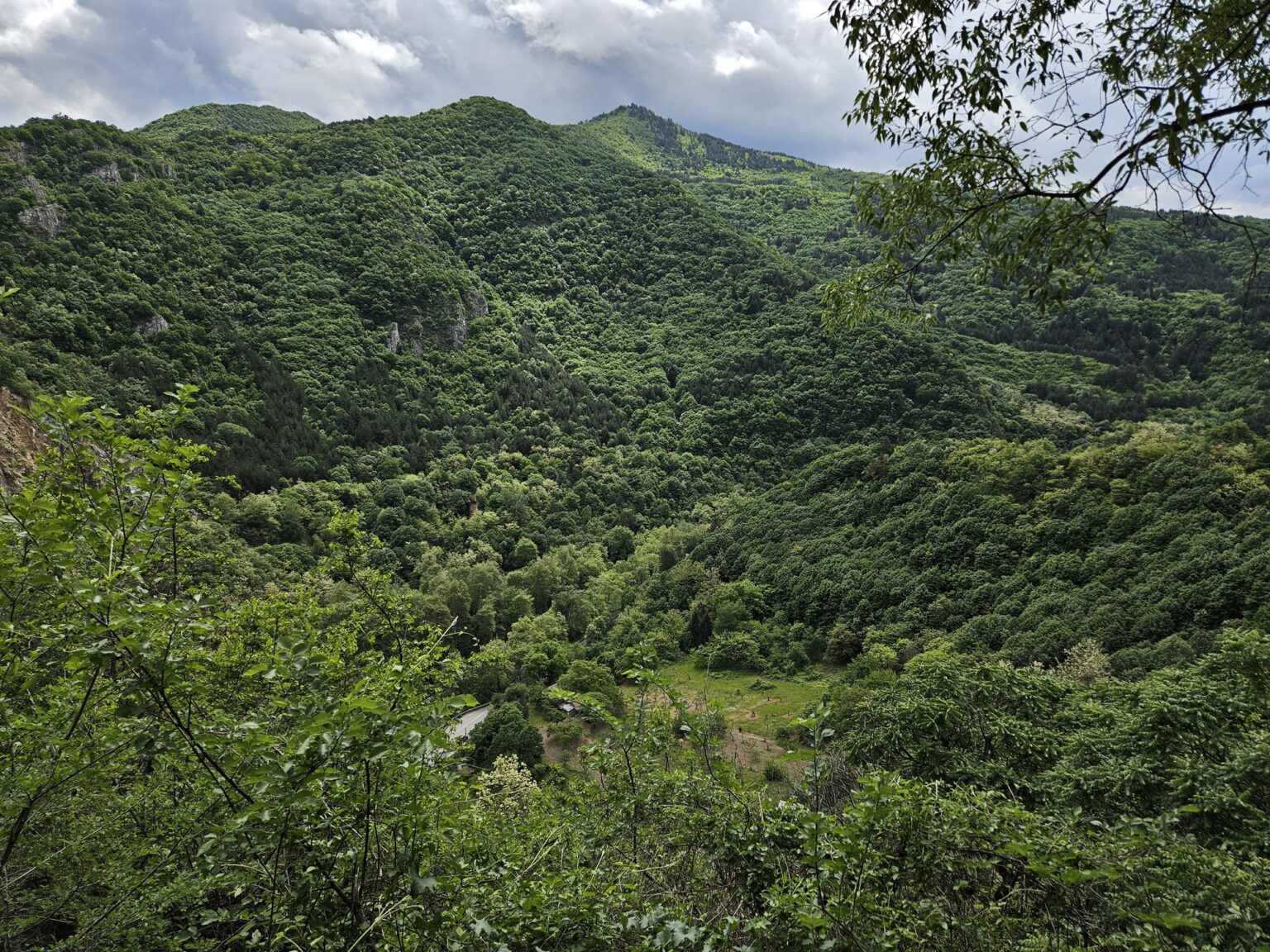 View of green hills from Asenova krepost