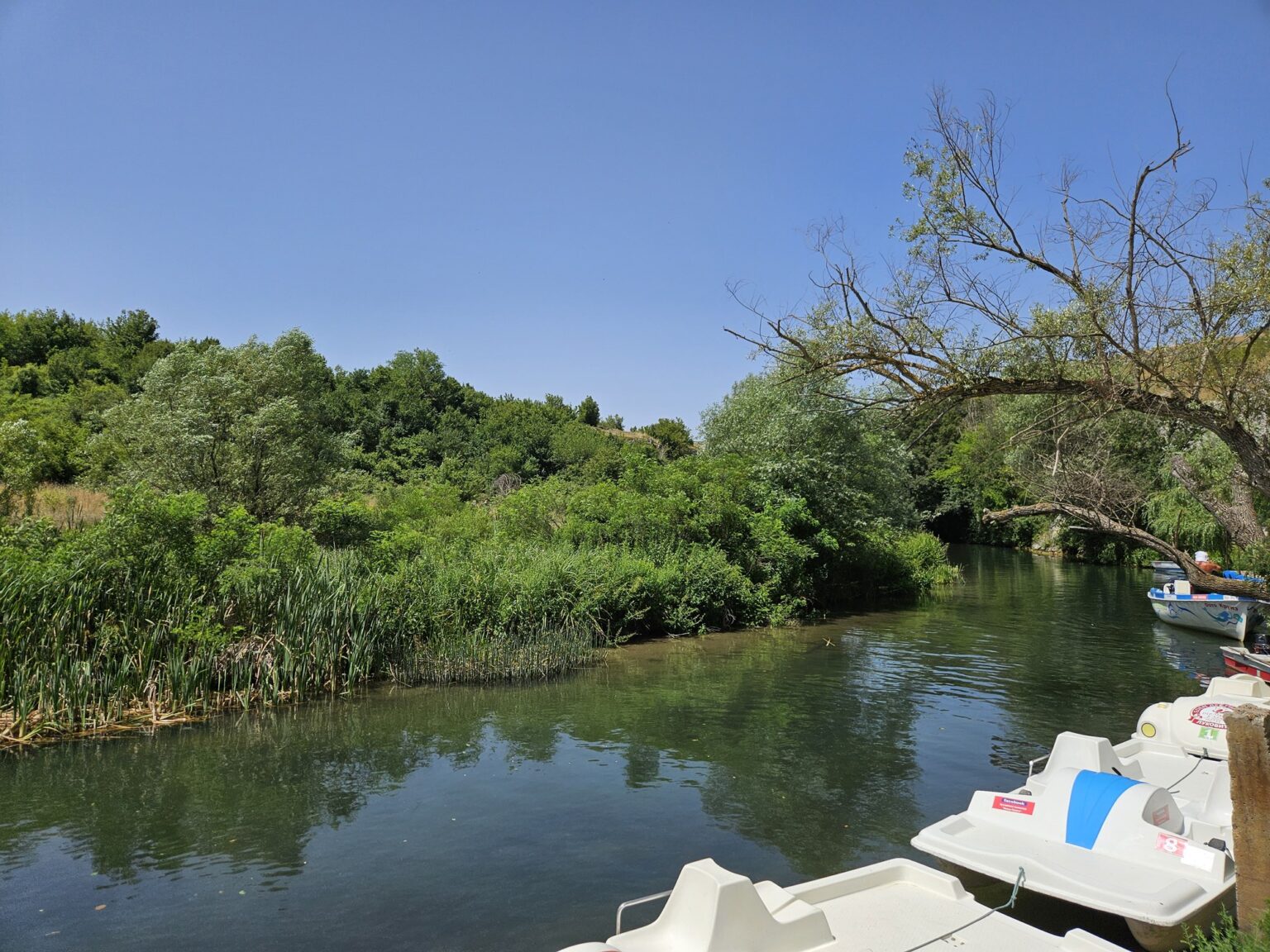 Path along a river with trees and pedal boats