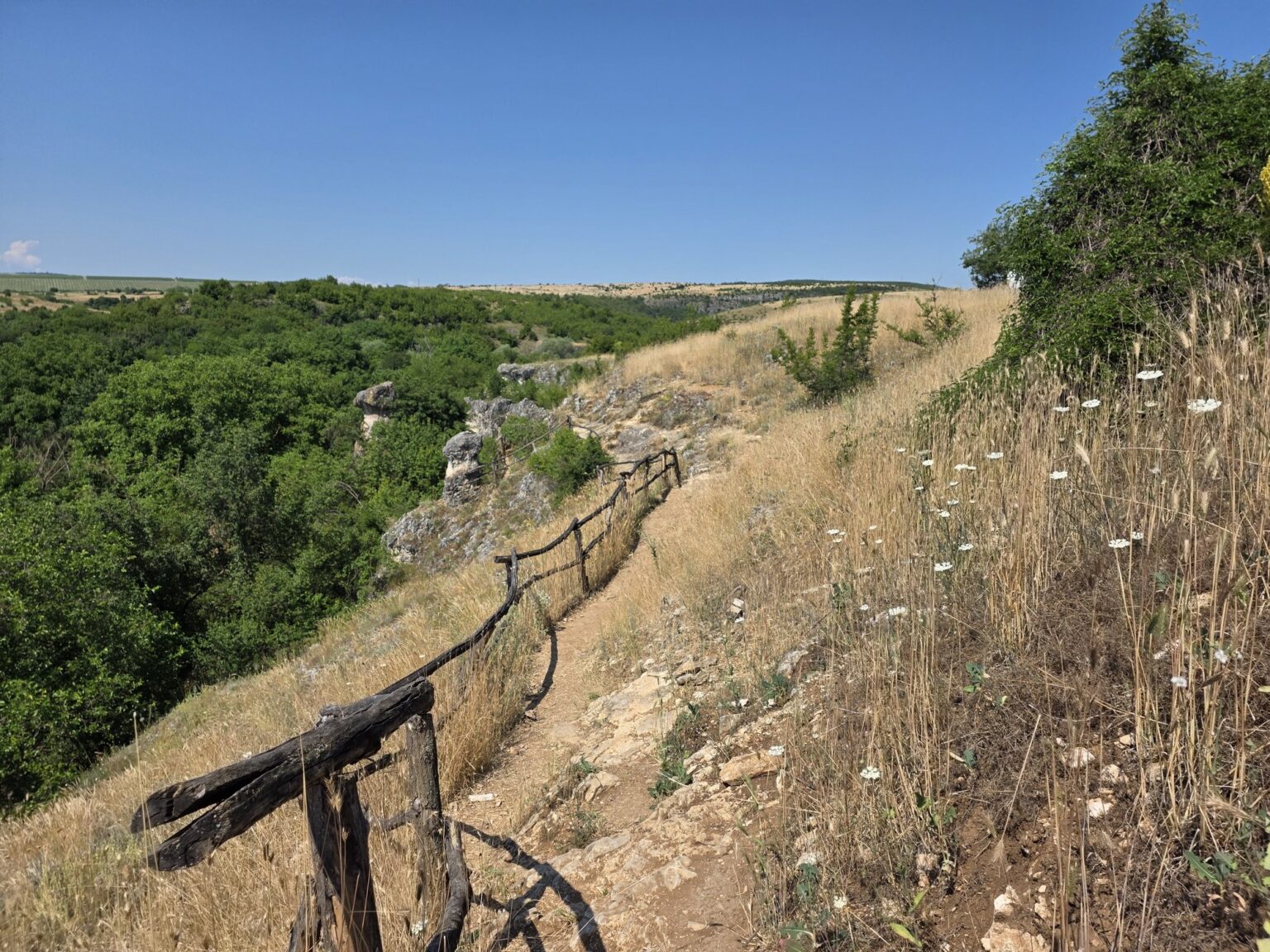 Walking path with a railing along a hill