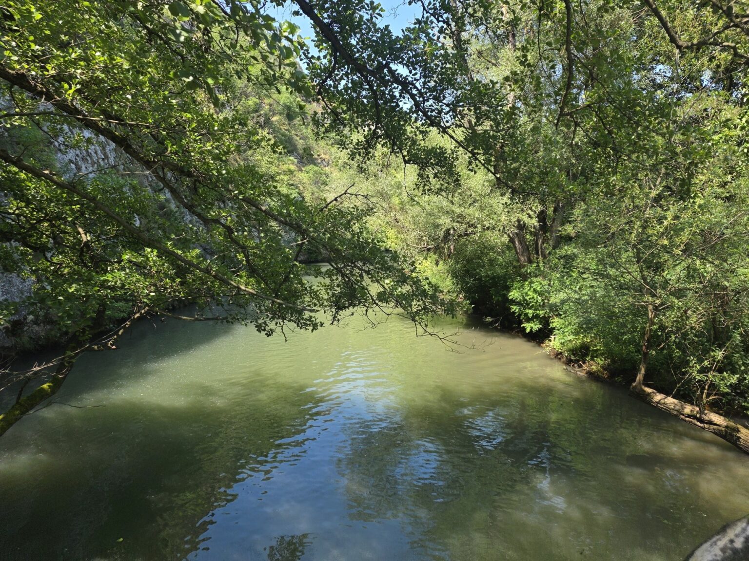 River with reflecting trees on the banks