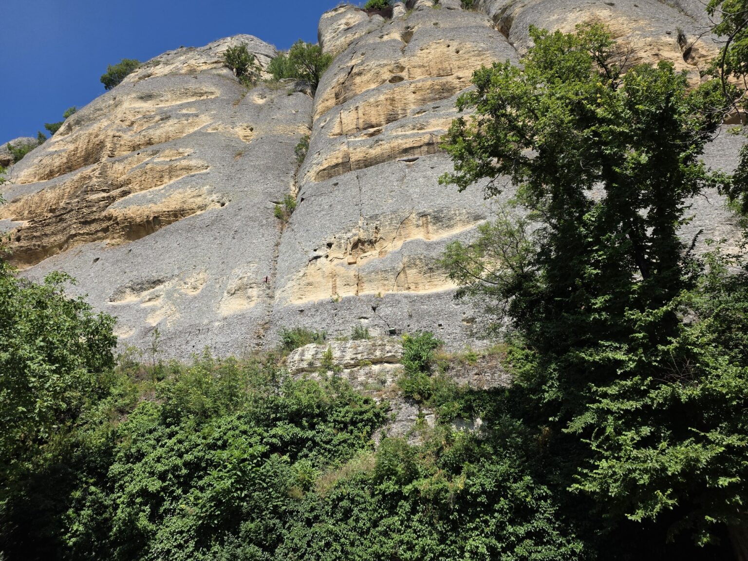 majestic rock formations with vegetation at their base