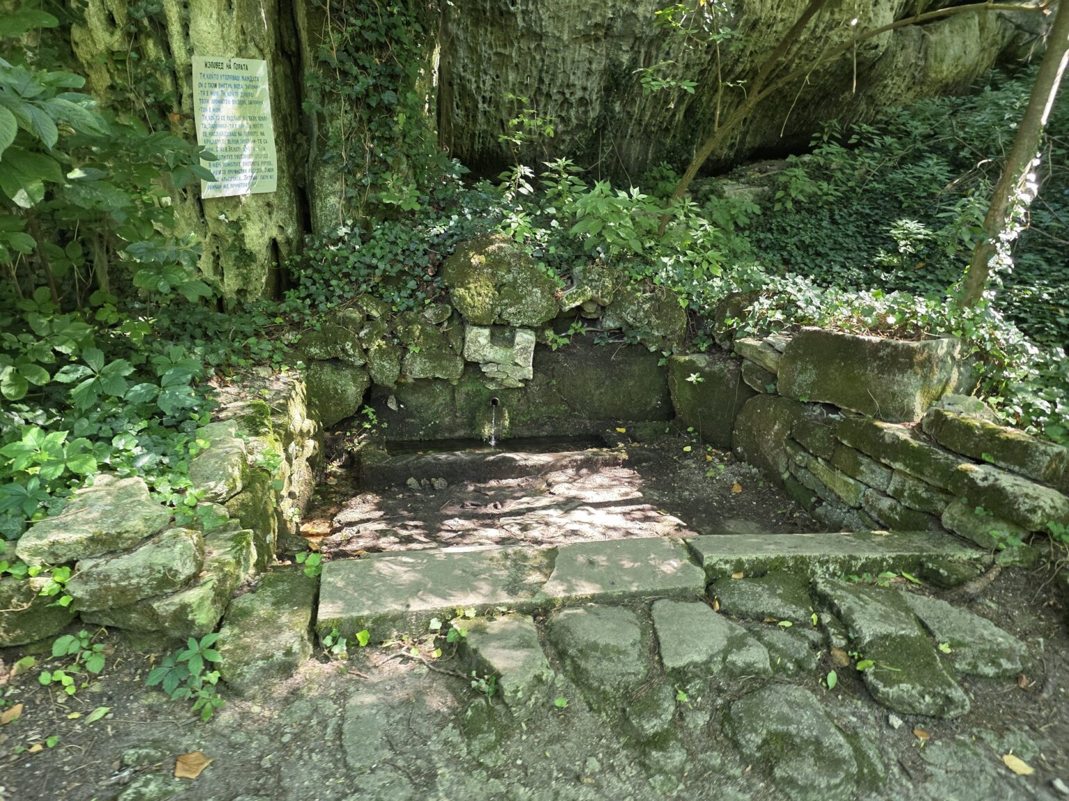 Stone spring with a plaque among greenery of the Madara Rider