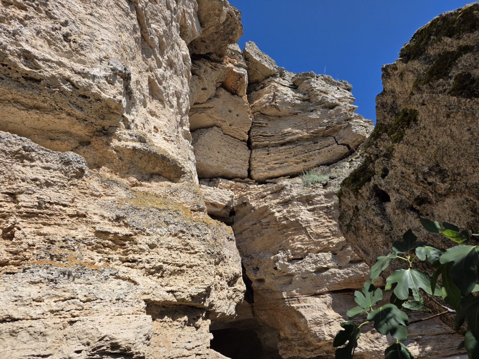 Massive rock blocks near the path on Cape Kaliakra