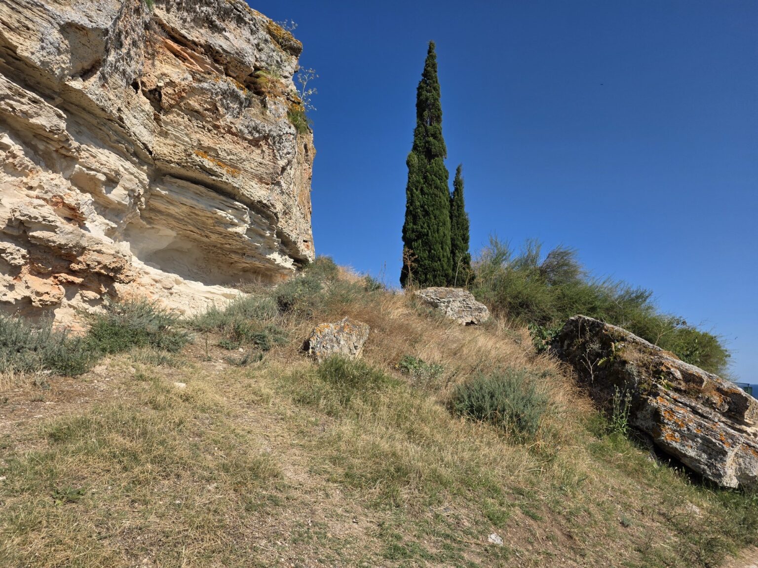 Green cypress by a rocky coast above the sea