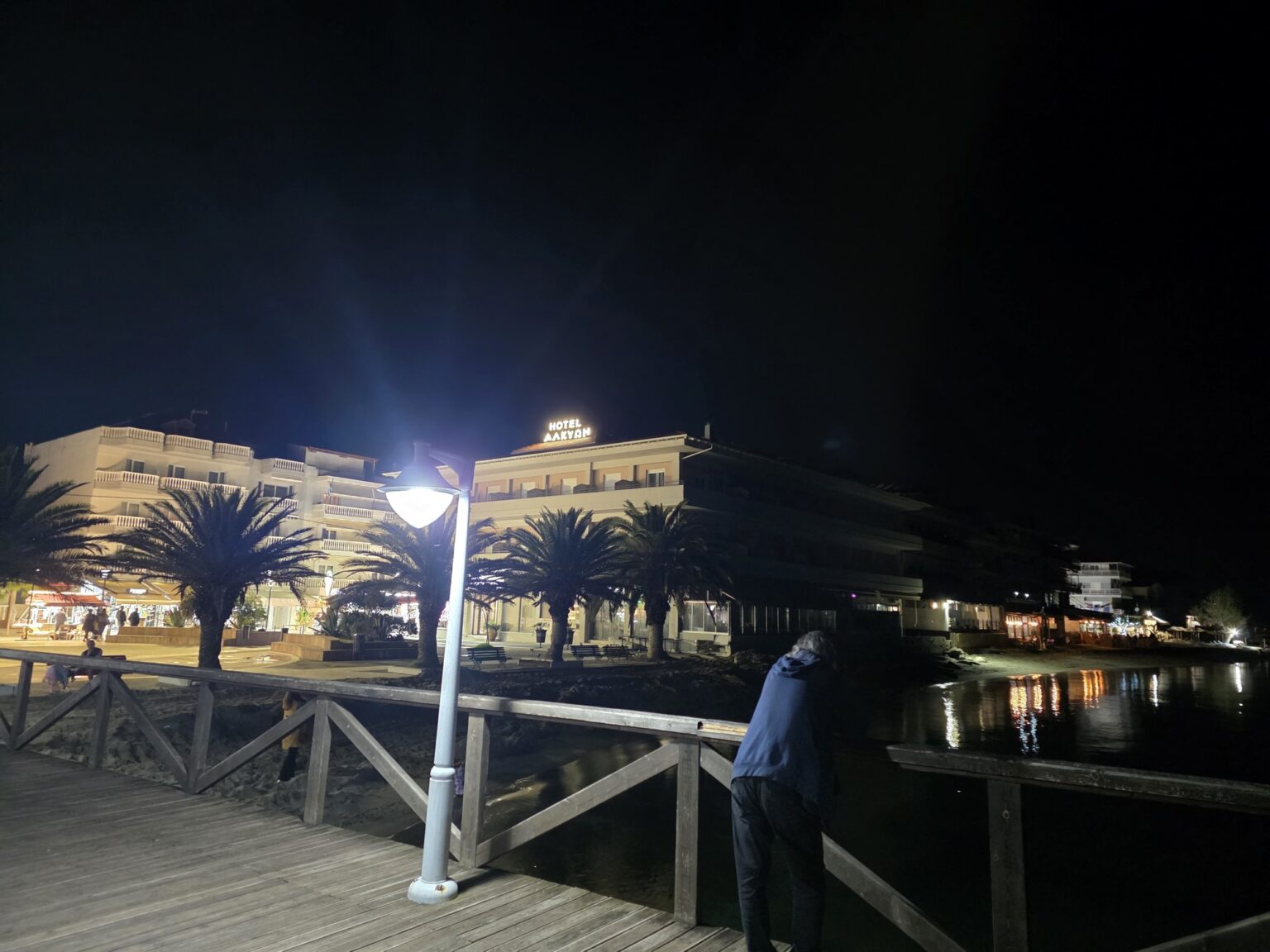 Wooden fence and illuminated palm trees by the shore