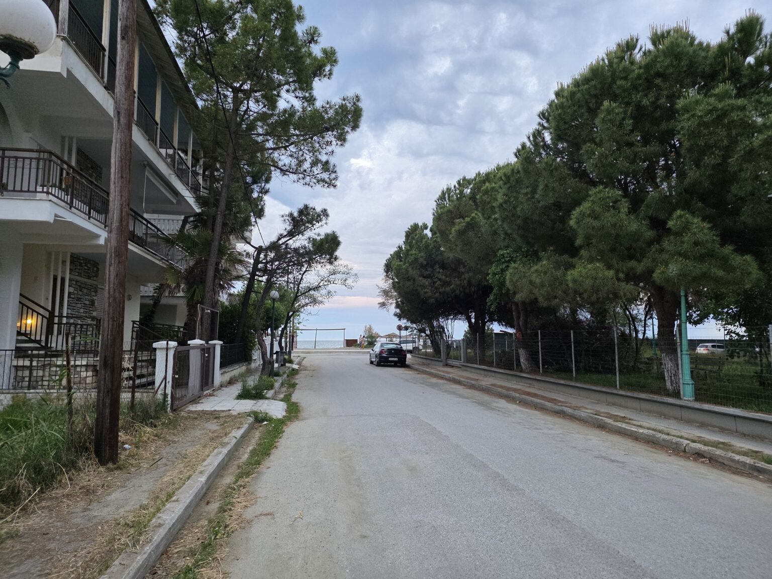 Street with trees and a car near the shore