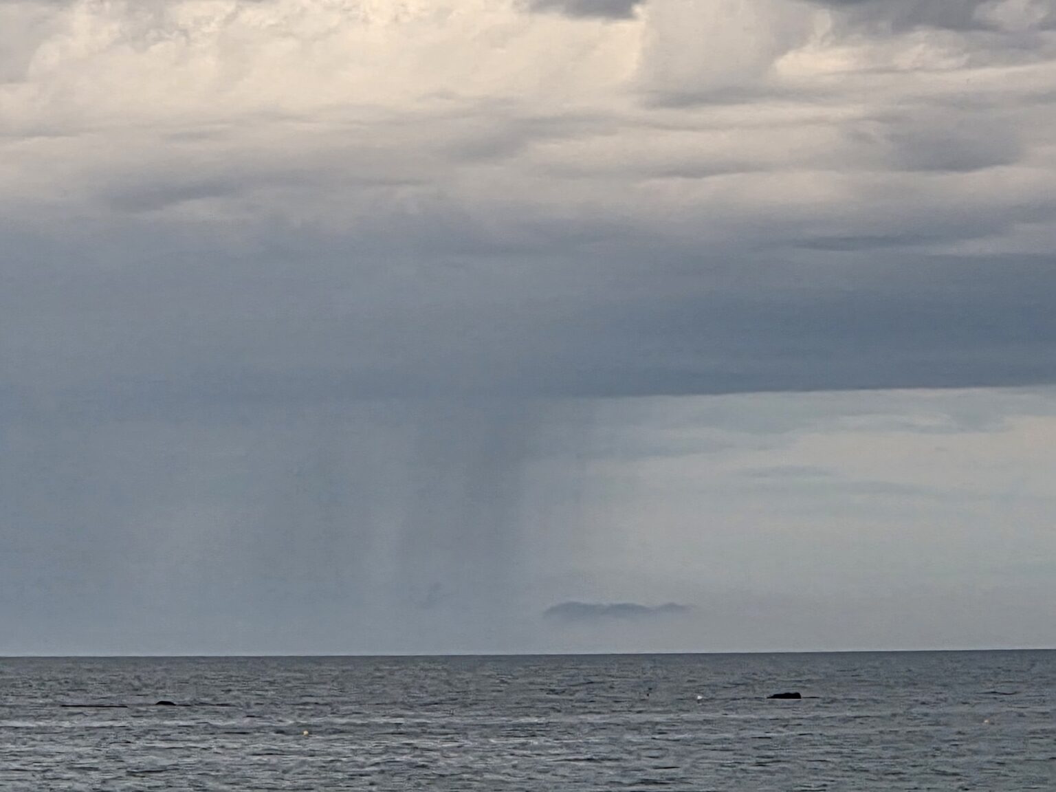 Sea horizon with clouds and dark rain curtains