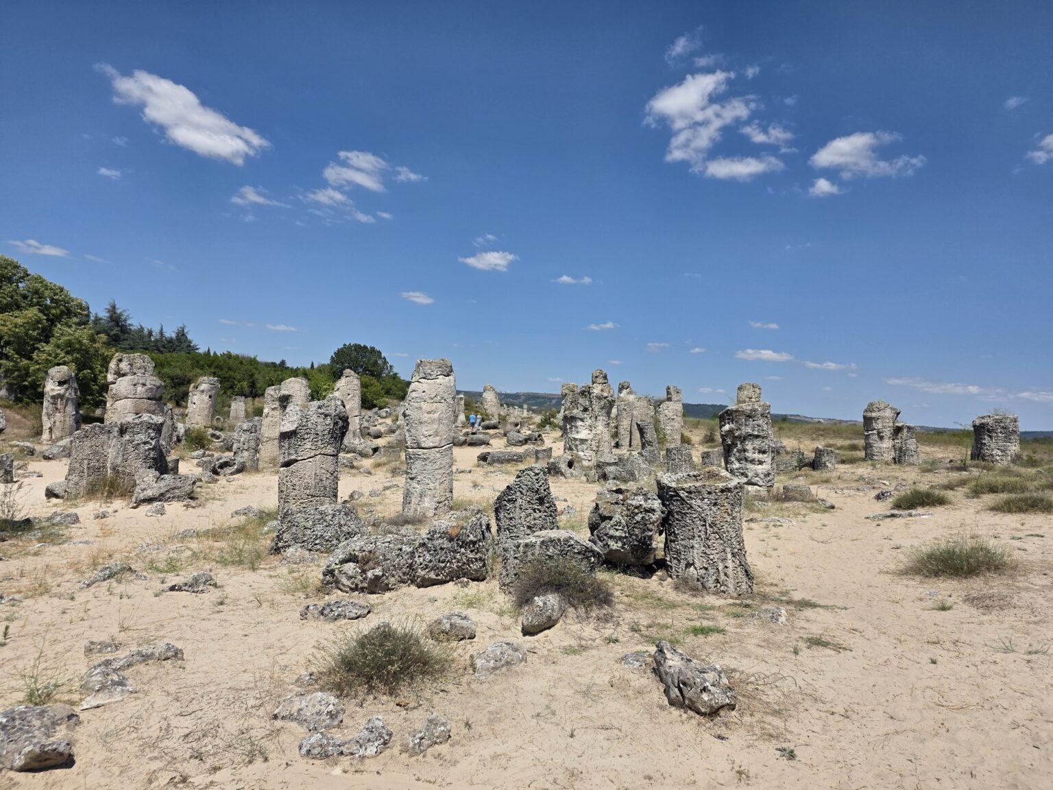 Landscape with numerous stone columns at pobiti kamani