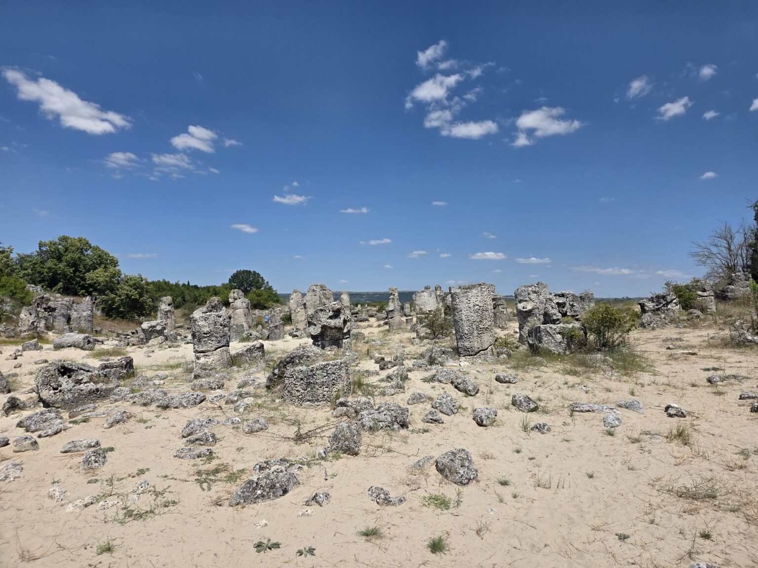 Group of stone columns in their natural environment