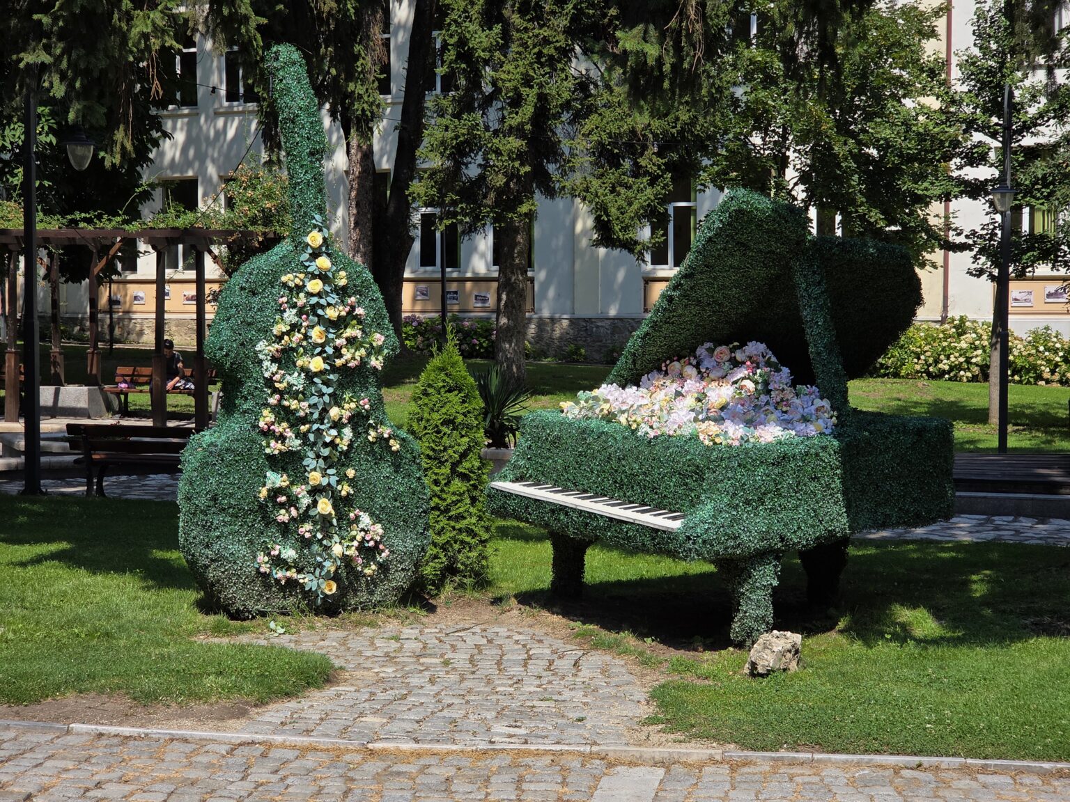 Two green topiary figures shaped as a double bass and a grand piano in the park in Razlog, decorated with artificial roses, with white keys along the piano and a cobbled path running between them