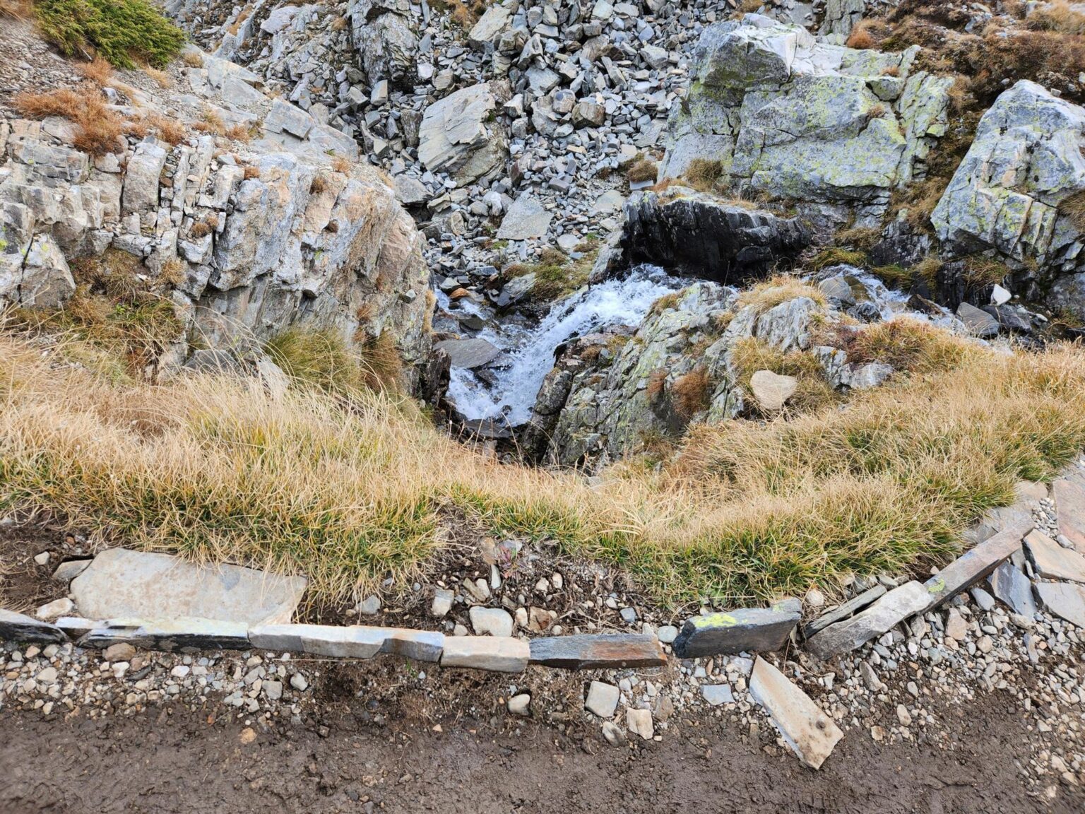 The Seven Rila Lakes, Bulgaria: The Fox That Behaved Like a Cat