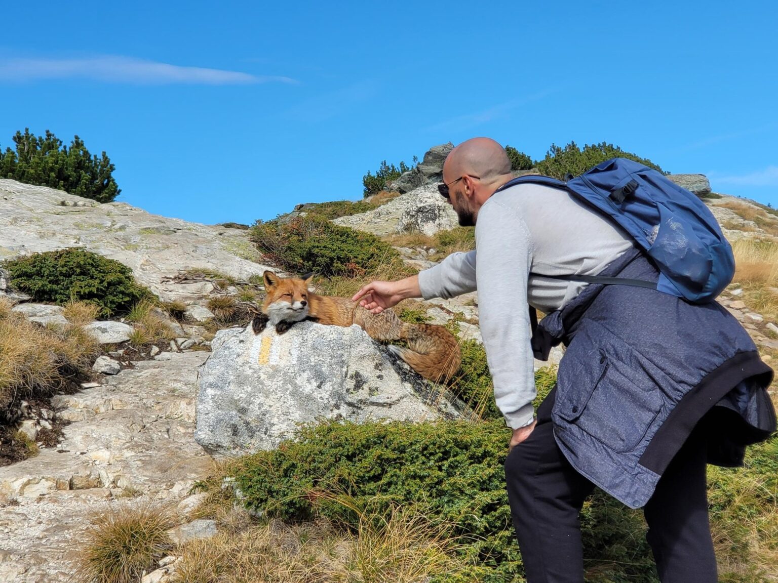 The Seven Rila Lakes, Bulgaria: The Fox That Behaved Like a Cat
