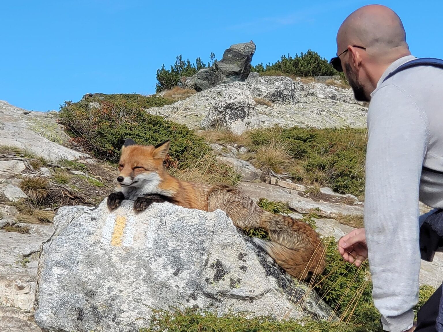 The Seven Rila Lakes, Bulgaria: The Fox That Behaved Like a Cat