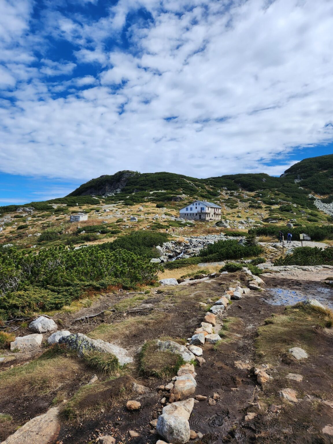 The Seven Rila Lakes, Bulgaria: The Fox That Behaved Like a Cat
