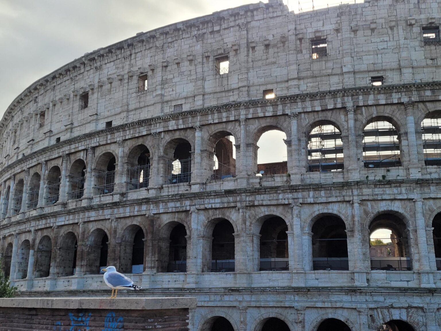 Rome in 8 Days: Walking 100 km Through a History Textbook