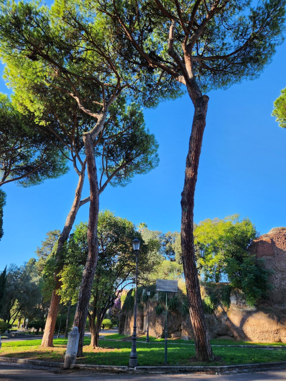Rome in 8 Days: Walking 100 km Through a History Textbook