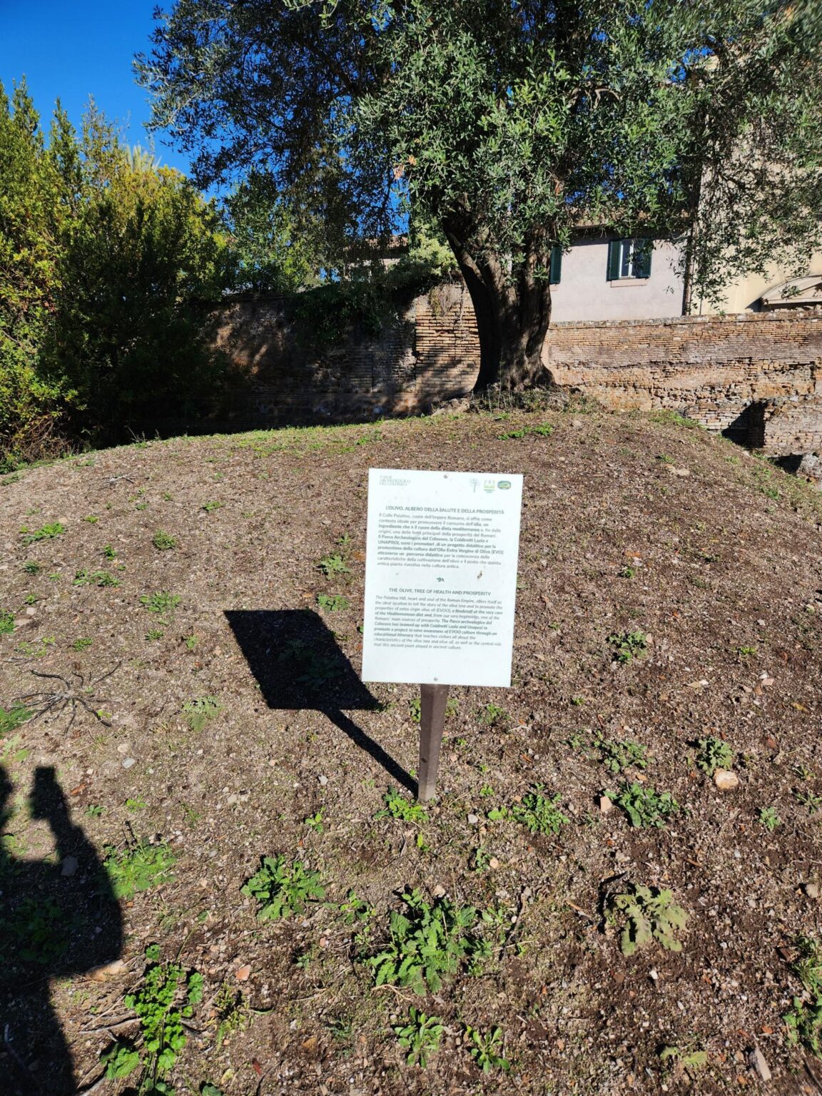 Rome in 8 Days: Walking 100 km Through a History Textbook