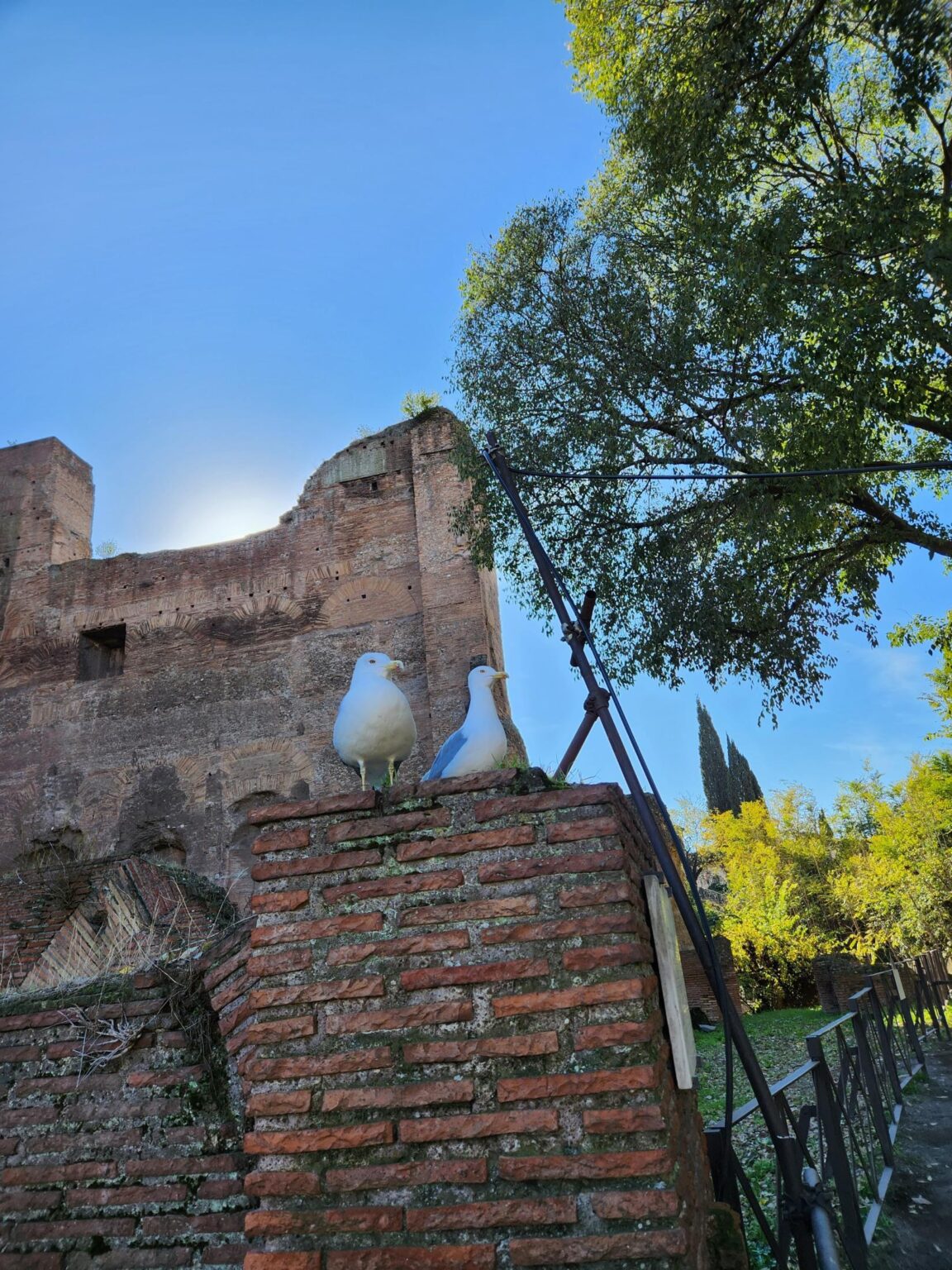 Rome in 8 Days: Walking 100 km Through a History Textbook