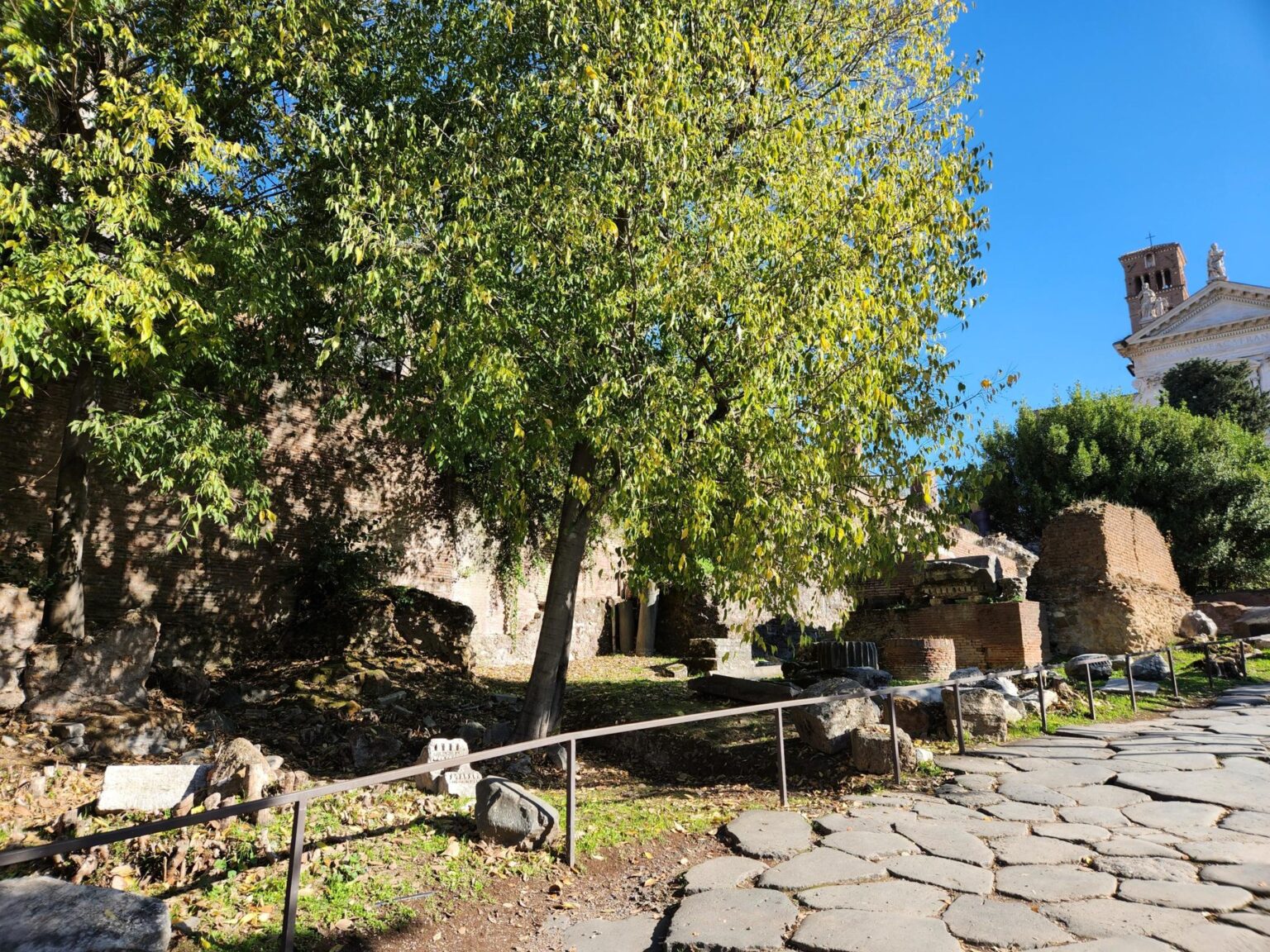 Rome in 8 Days: Walking 100 km Through a History Textbook
