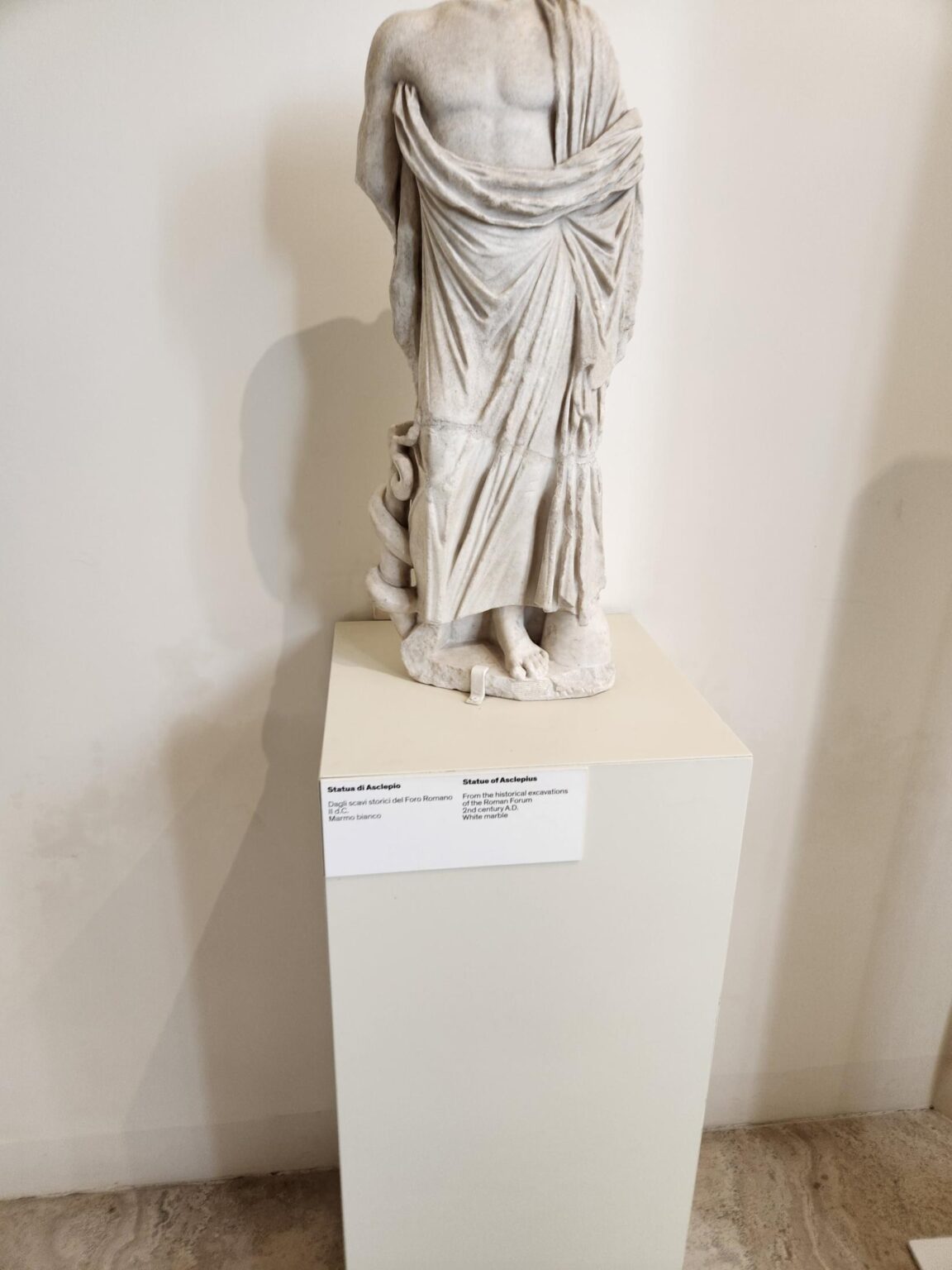 Rome in 8 Days: Walking 100 km Through a History Textbook