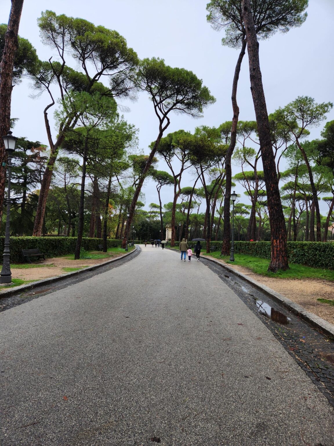 Rome in 8 Days: Walking 100 km Through a History Textbook