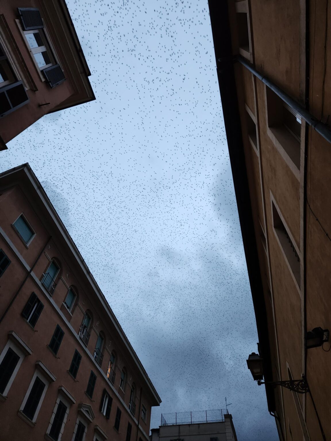 Rome in 8 Days: Walking 100 km Through a History Textbook
