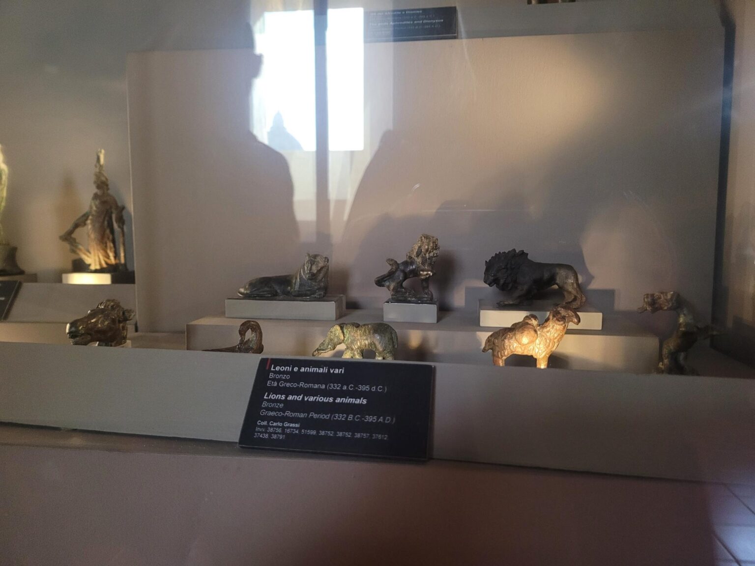 Rome in 8 Days: Walking 100 km Through a History Textbook