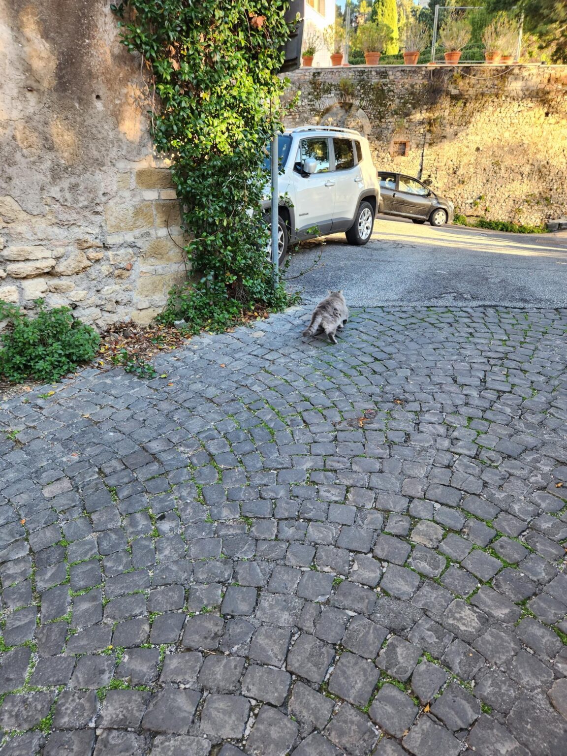 Rome in 8 Days: Walking 100 km Through a History Textbook