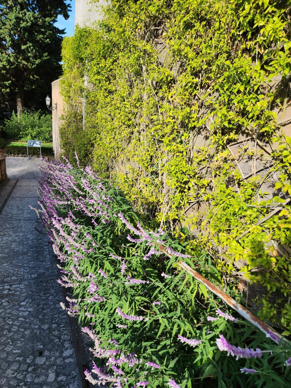 Rome in 8 Days: Walking 100 km Through a History Textbook