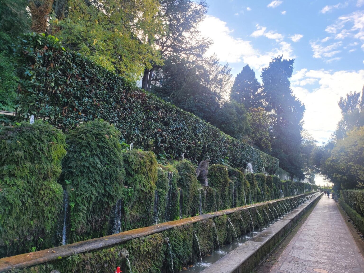 Rome in 8 Days: Walking 100 km Through a History Textbook