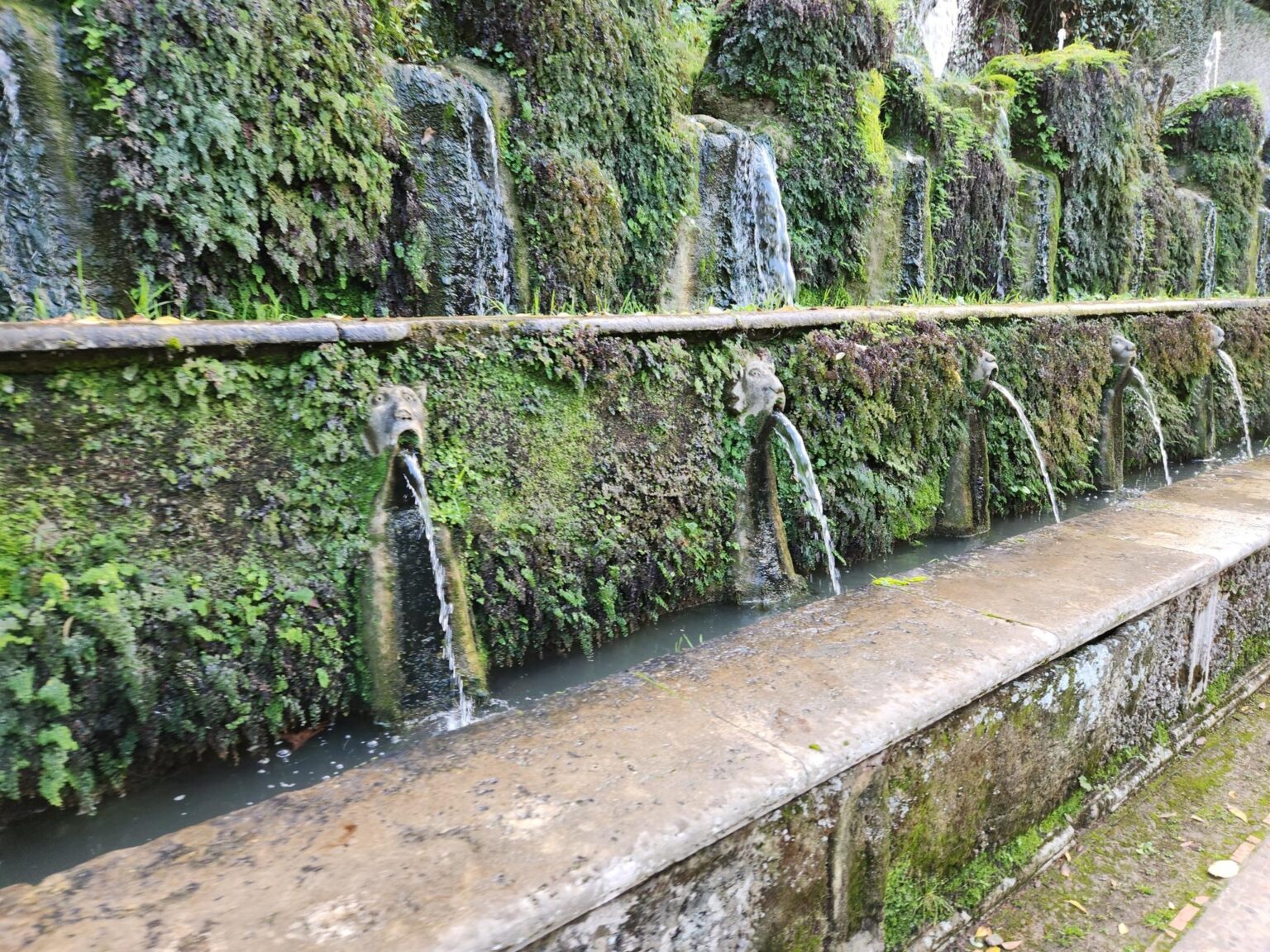 Rome in 8 Days: Walking 100 km Through a History Textbook