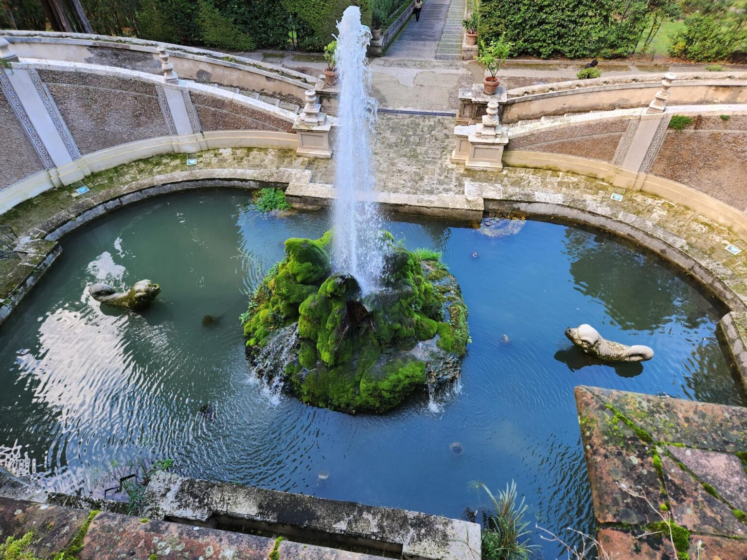 Rome in 8 Days: Walking 100 km Through a History Textbook