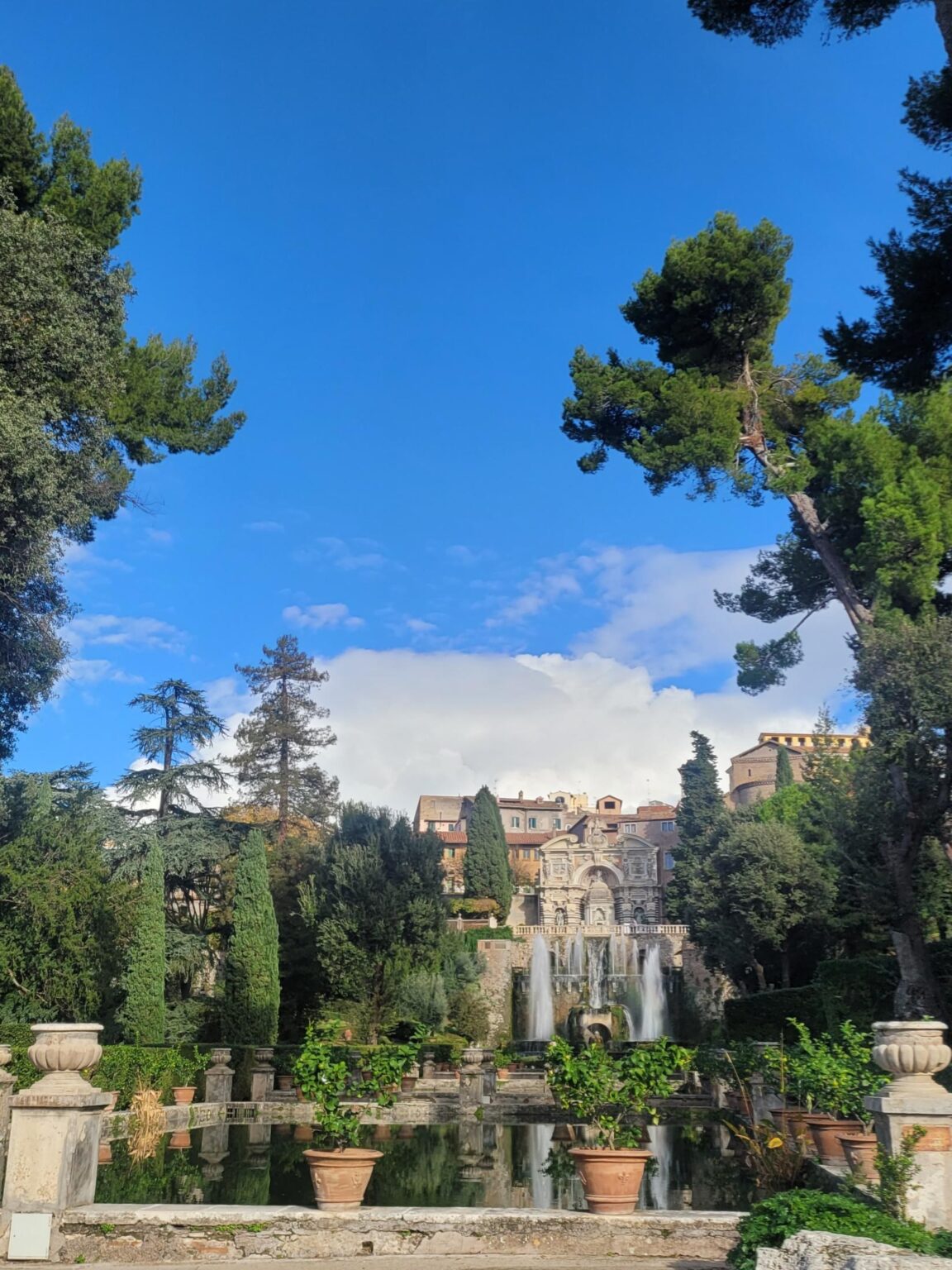 Rome in 8 Days: Walking 100 km Through a History Textbook