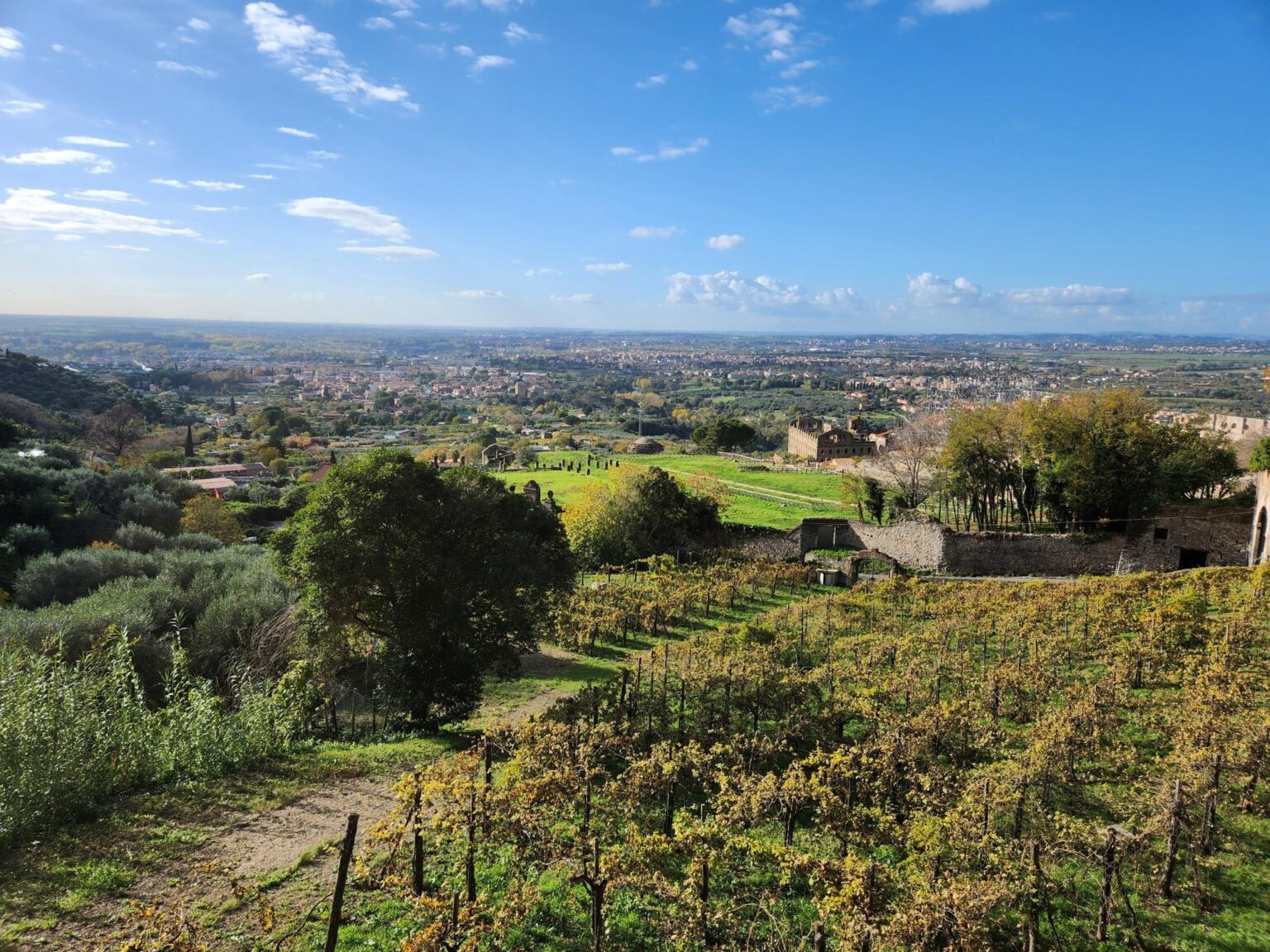 Rome in 8 Days: Walking 100 km Through a History Textbook
