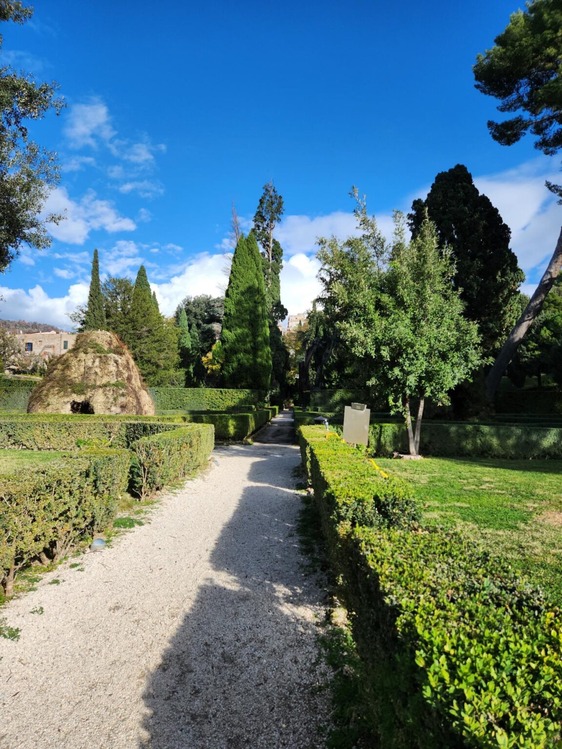 Rome in 8 Days: Walking 100 km Through a History Textbook