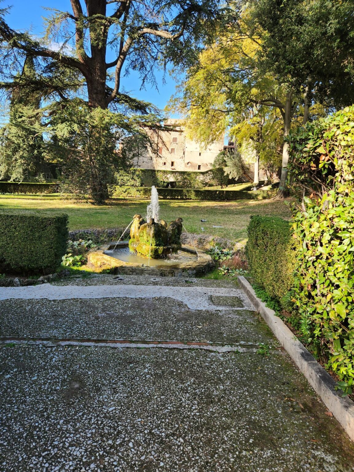 Rome in 8 Days: Walking 100 km Through a History Textbook